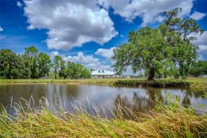 15141 FARM RD, GROVELAND, FL 34736 - MLS#MFRG5095368
