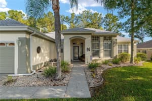 13190 93RD CIRCLE, SUMMERFIELD, FL 34491 Sold 09/19/25