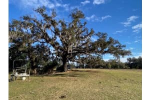 CLARENCE LEE RD, GROVELAND, FL 34736 Sold 07/14/25