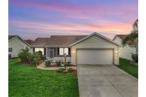 1307 GALINDO PLACE, THE VILLAGES, FL 32159 - MLS#MFRG5095395