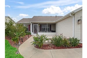 1307 GALINDO PLACE, THE VILLAGES, FL 32159 - MLS#MFRG5095395