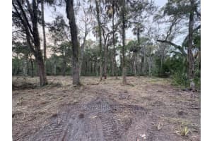 11905 ELDRED LANE, HOMOSASSA, FL 34448 - MLS#MFRG5095466