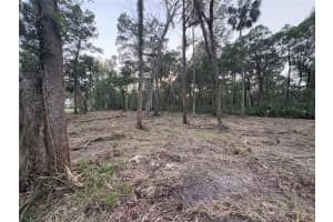 11905 ELDRED LANE, HOMOSASSA, FL 34448 - MLS#MFRG5095466