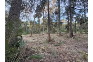11905 ELDRED LANE, HOMOSASSA, FL 34448 - MLS#MFRG5095466