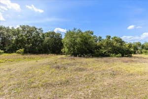 TBD-LOT 6 INDEPENDENCE BLVD #Lot 6, GROVELAND, FL 34736 - MLS#MFRG5095481