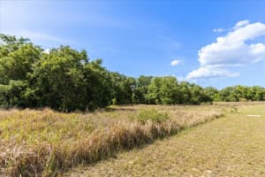 TBD-LOT 6 INDEPENDENCE BLVD #Lot 6, GROVELAND, FL 34736 - MLS#MFRG5095481