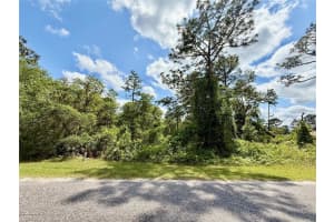 LOT 2 QUINCE AVENUE, EUSTIS, FL 32736 - MLS#MFRG5095498