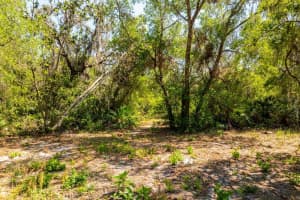 3117 BRIGHT LAKE CIRCLE, GROVELAND, FL 34736 - MLS#MFRG5095650