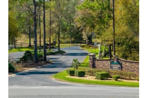 3117 BRIGHT LAKE CIRCLE, GROVELAND, FL 34736 - MLS#MFRG5095650
