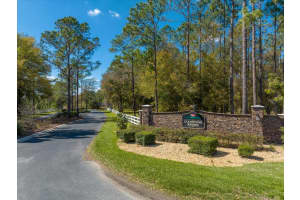 3117 BRIGHT LAKE CIRCLE, GROVELAND, FL 34736 - MLS#MFRG5095650