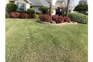 6608 BORG, LEESBURG, FL 34748 - MLS#MFRG5095694