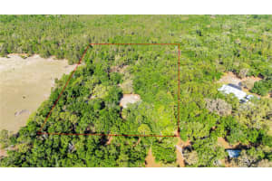 2420 SR 471, SUMTERVILLE, FL 33585 Sold 06/12/25