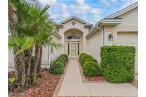17930 87TH BOURNE AVENUE, THE VILLAGES, FL 32162 Sold 06/05/25