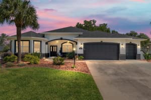 8715 176TH LOWNDES PLACE, THE VILLAGES, FL 32162 Sold 07/07/25
