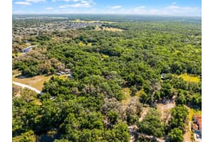 3633 PANTHER PATH ROAD, LUTZ, FL 33559 - MLS#MFRG5095860