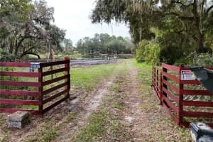 39767 CR-452, LEESBURG, FL 34788 - MLS#MFRG5095902