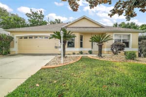 17238 Se 94th Coults Cir, THE VILLAGES