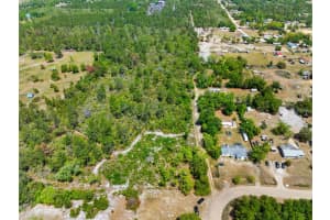 E CEMETERY RD, UMATILLA, FL 32784 - MLS#MFRG5096026