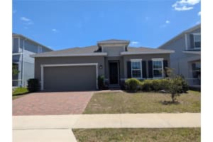 334 Winter Bliss Ln, MOUNT DORA