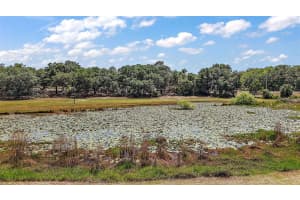 5787 MARION COUNTY RD, LADY LAKE, FL 32159 - MLS#MFRG5096133