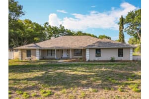 10100 CANTERBURY DRIVE, LEESBURG, FL 34788 Sold 07/18/25