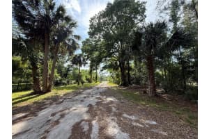 38718 COUNTY ROAD 439, EUSTIS, FL 32736 Sold 09/10/25