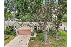 25333 RIVER CREST DRIVE, LEESBURG, FL 34748 - MLS#MFRG5096317