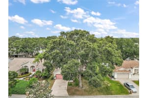 25333 RIVER CREST DRIVE, LEESBURG, FL 34748 - MLS#MFRG5096317