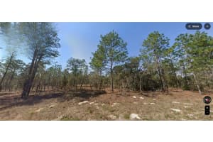TBD 124 TERRACE ROAD, OCALA, FL 34481 Sold 06/02/25
