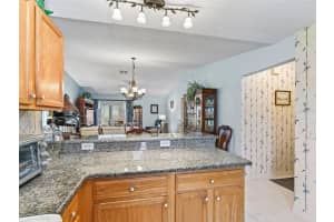 3266 WOODRIDGE DRIVE, THE VILLAGES, FL 32162 Sold 07/07/25