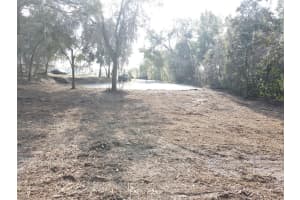 SPRUCE TERRACE WAY, OCALA, FL 34472 Sold 07/31/25