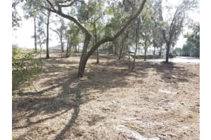 SPRUCE TERRACE WAY, OCALA, FL 34472 Sold 07/31/25