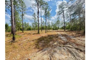 SW EDGEWATER BLVD, DUNNELLON, FL 34431 - MLS#MFRG5096453