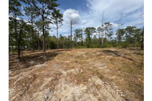 SW EDGEWATER BLVD, DUNNELLON, FL 34431 - MLS#MFRG5096453