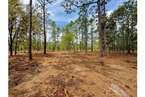 SW DEERPARK HEIGHTS RD, DUNNELLON, FL 34431 - MLS#MFRG5096456