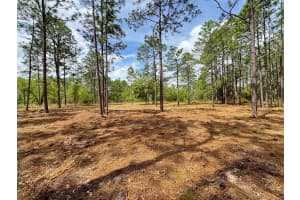 SW DEERPARK HEIGHTS RD, DUNNELLON, FL 34431 - MLS#MFRG5096456