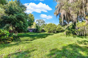 SE 157TH ST, UMATILLA, FL 32784 - MLS#MFRG5096492