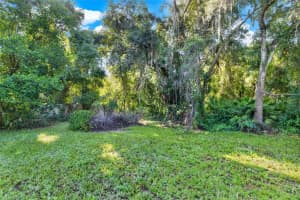 SE 157TH ST, UMATILLA, FL 32784 - MLS#MFRG5096492