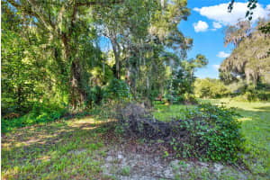 SE 157TH ST, UMATILLA, FL 32784 - MLS#MFRG5096492