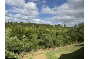 1288 GRADY LANE, DAVENPORT, FL 33896 - MLS#MFRG5096584