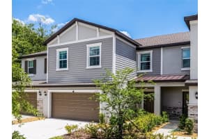 17677 Nectar Flume Dr, LAND O LAKES