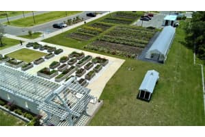 17677 NECTAR FLUME DRIVE, LAND O LAKES, FL 34637 - MLS#MFRG5096734