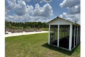 17677 NECTAR FLUME DRIVE, LAND O LAKES, FL 34637 - MLS#MFRG5096734