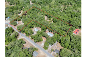 1203 HIGH STREET, WILDWOOD, FL 34785 - MLS#MFRG5096737