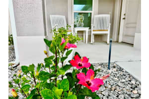 7394 LUSSIER COURT, THE VILLAGES, FL 34762 Sold 08/15/25