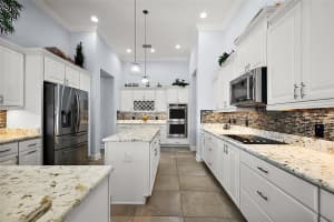 4033 SWAYING PALM COURT, THE VILLAGES, FL 32163 Sold 07/31/25