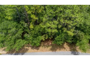 SW 73 LOOP, DUNNELLON, FL 34432 - MLS#MFRG5096996