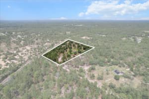 10655 PARTY AVENUE, DUNNELLON, FL 34433 - MLS#MFRG5097104