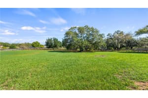15245 ARABIAN WAY, MONTVERDE, FL 34756 Sold 11/14/25