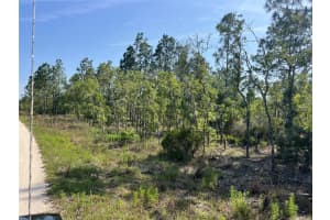 NE 151ST AVE, WILLISTON, FL 32696 - MLS#MFRG5097292